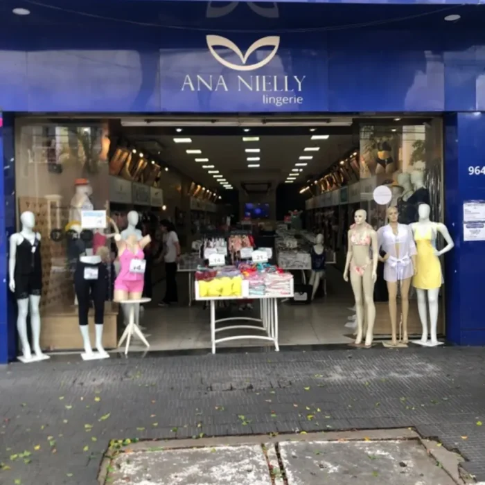 anna-nielly-lingerie-rua-bresser-966