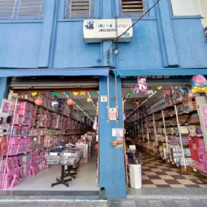 brinkando-atacadista-brinquedos-rua-oriente-777