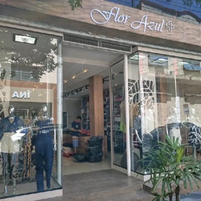 flor-azul-rua-casemiro-de-abreu-572