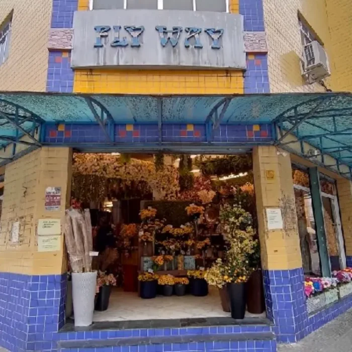 fly-way-rua-tiers-727