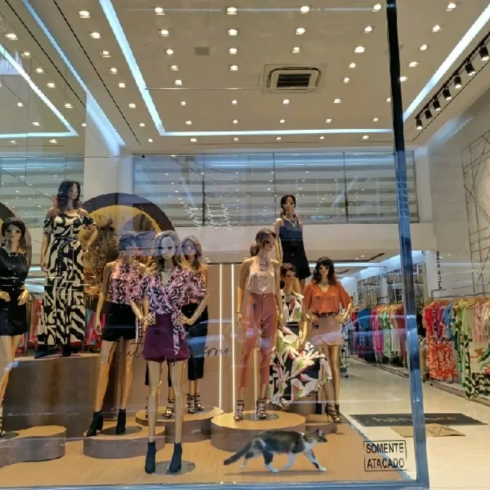 hanabee-rua-casemiro-de-abreu-427