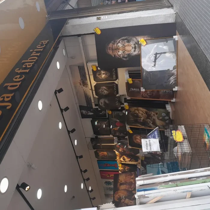 inova-arte-rua-miller-124