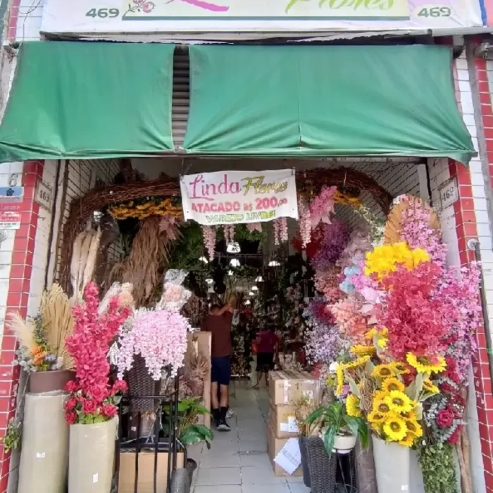 linda-flores-avenida-vautier-469