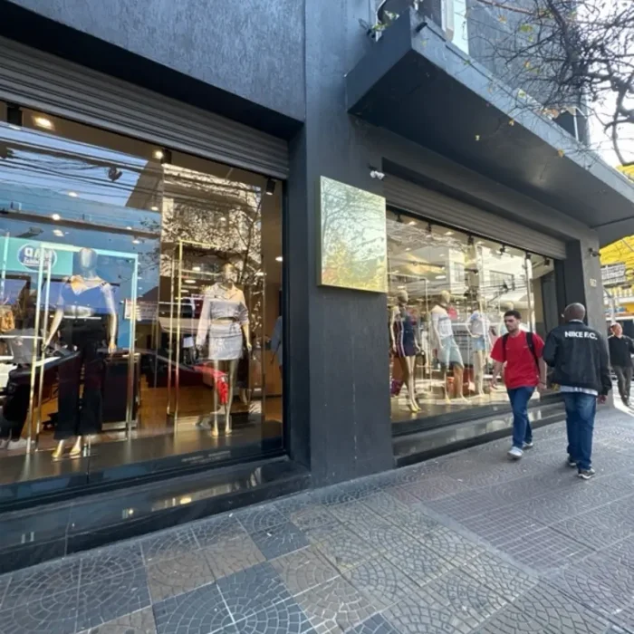 pit-bull-rua-miller-667