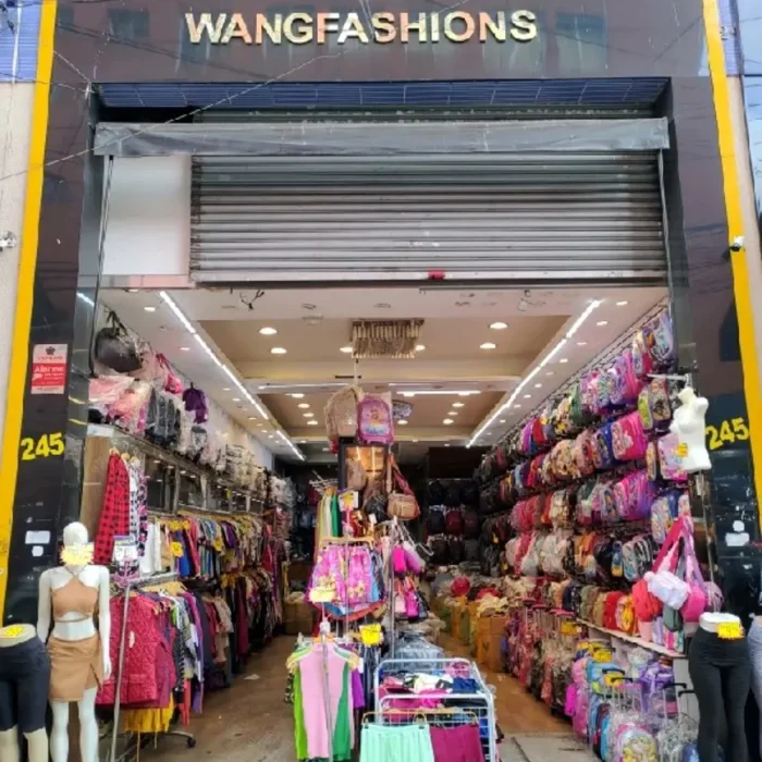 wang-fashions-camela-bolsas-avenida-vautier-245