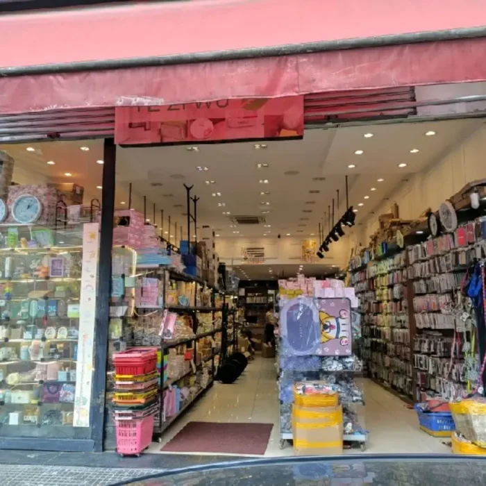 ye-zi-wu-rua-rodrigues-dos-santos-776